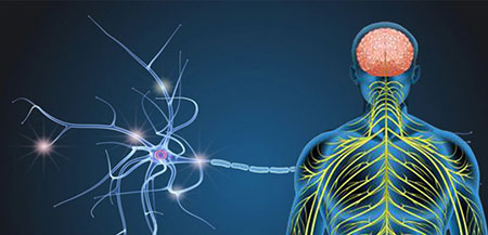 اضطراب و افسردگی بیماران MS