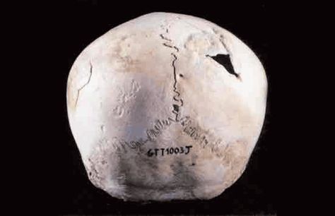 باستان شناسی شهر سوخته