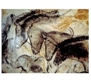 اسطوره شناسی عصبی تکاملی