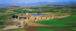 دیار سهروردی