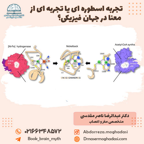 تجربه اسطوره ای یا تجربه ای از معنا در جهان فیزیکی؟